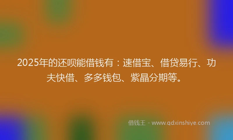 2025年的还呗能借钱有：速借宝、借贷易行、功夫快借、多多钱包、紫晶分期等。