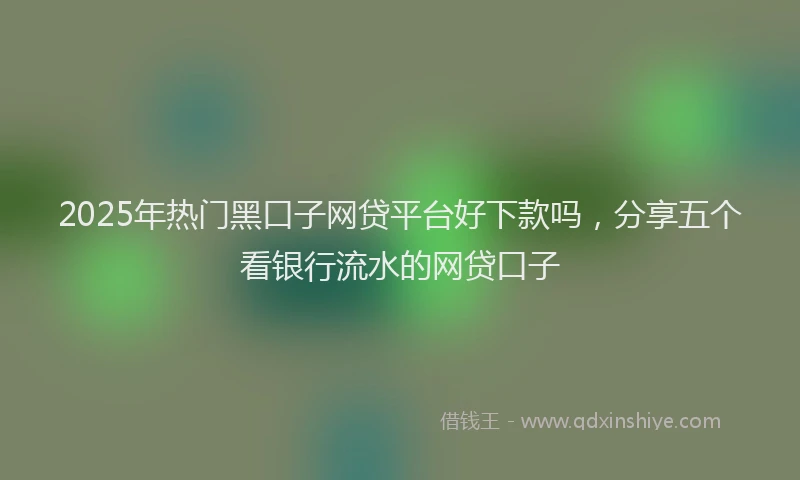 2025年热门黑口子网贷平台好下款吗，分享五个看银行流水的网贷口子