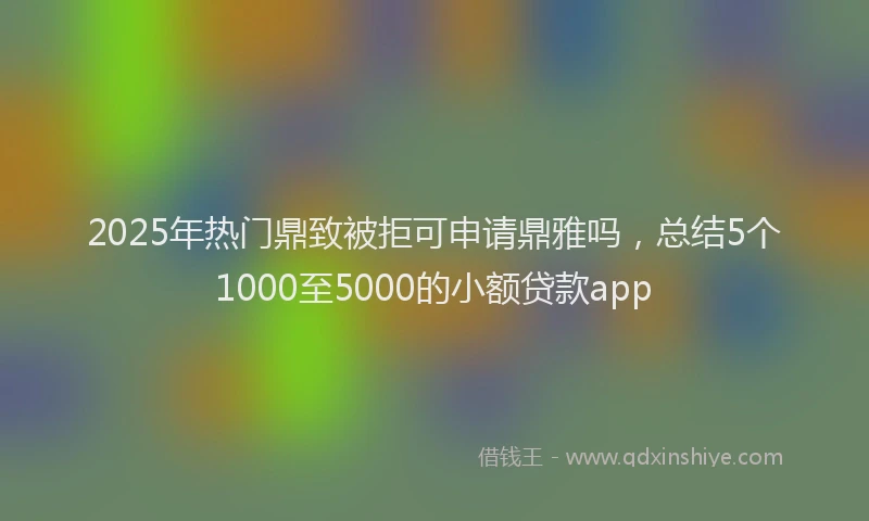 2025年热门鼎致被拒可申请鼎雅吗，总结5个1000至5000的小额贷款app