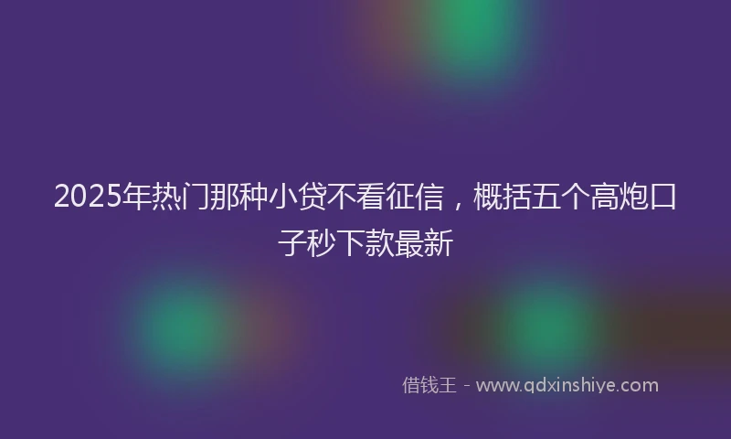 2025年热门那种小贷不看征信，概括五个高炮口子秒下款最新