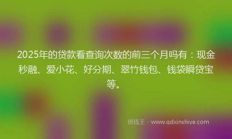 2025年的贷款看查询次数的前三个月吗有：现金秒融、爱小花、好分期、翠竹钱包、钱袋瞬贷宝等。