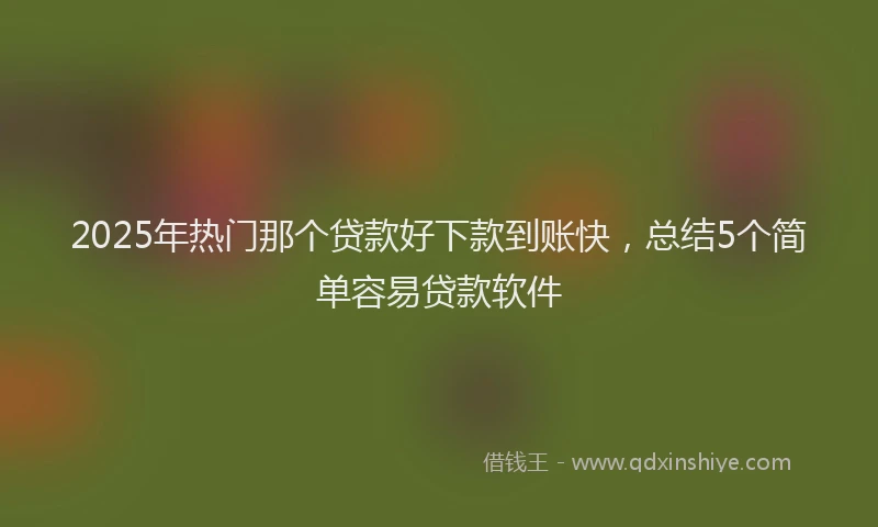 2025年热门那个贷款好下款到账快，总结5个简单容易贷款软件