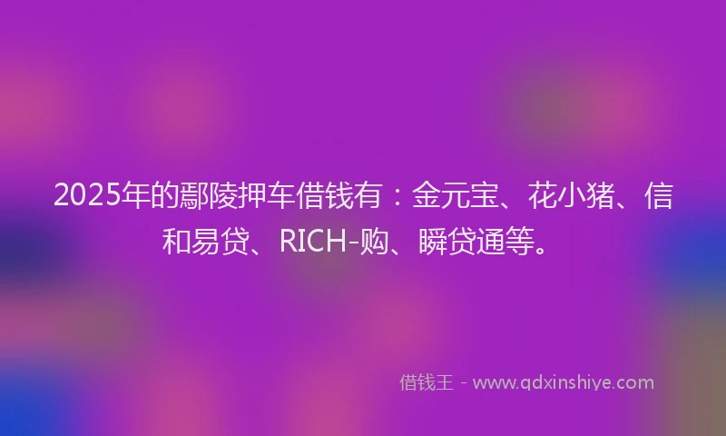 2025年的鄢陵押车借钱有：金元宝、花小猪、信和易贷、RICH-购、瞬贷通等。