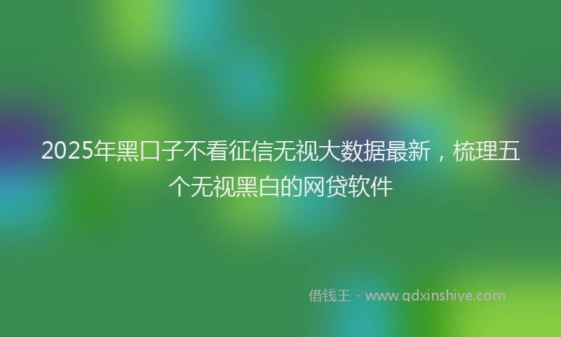 2025年黑口子不看征信无视大数据最新，梳理五个无视黑白的网贷软件