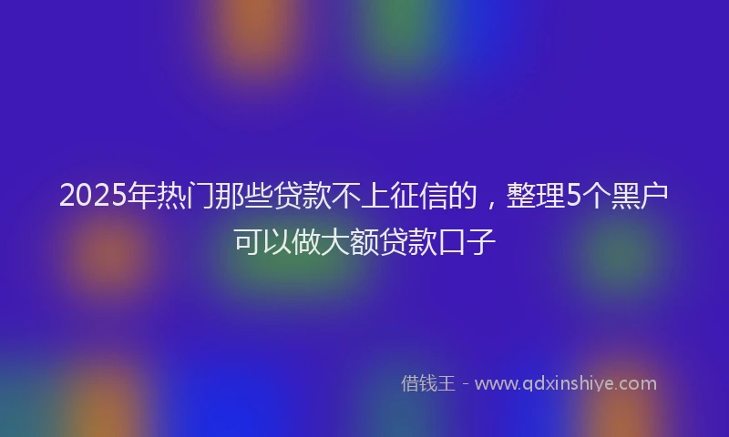2025年热门那些贷款不上征信的，整理5个黑户可以做大额贷款口子