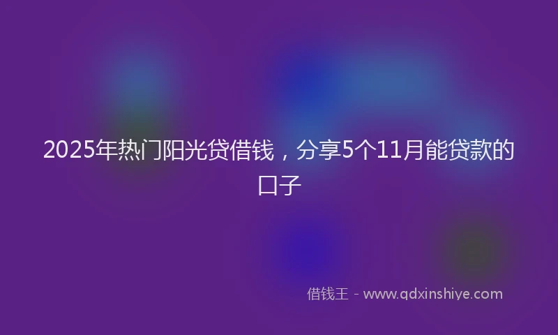 2025年热门阳光贷借钱，分享5个11月能贷款的口子