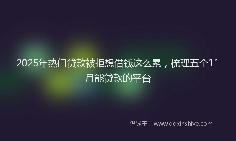 2025年热门贷款被拒想借钱这么累，梳理五个11月能贷款的平台