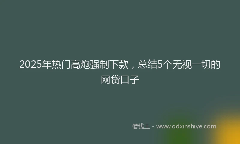 2025年热门高炮强制下款，总结5个无视一切的网贷口子