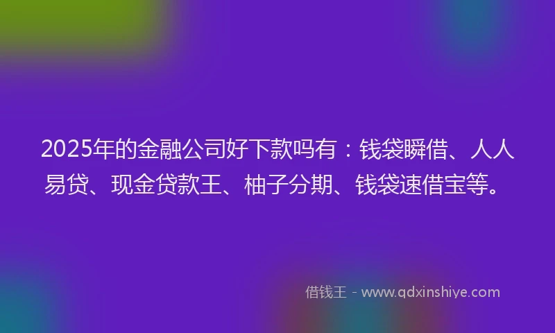 2025年的金融公司好下款吗有：钱袋瞬借、人人易贷、现金贷款王、柚子分期、钱袋速借宝等。