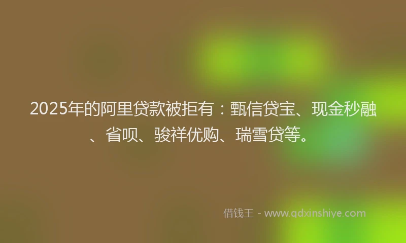 2025年的阿里贷款被拒有：甄信贷宝、现金秒融、省呗、骏祥优购、瑞雪贷等。