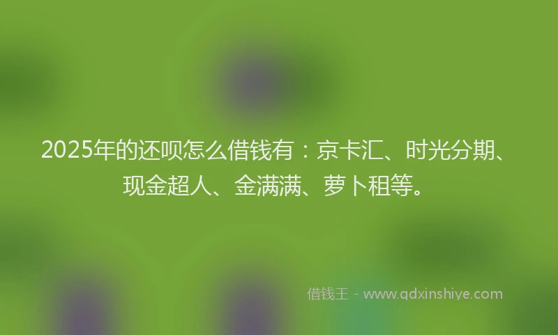 2025年的还呗怎么借钱有：京卡汇、时光分期、现金超人、金满满、萝卜租等。