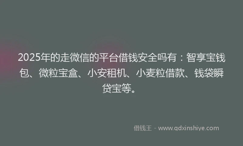 2025年的走微信的平台借钱安全吗有：智享宝钱包、微粒宝盒、小安租机、小麦粒借款、钱袋瞬贷宝等。