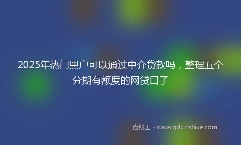 2025年热门黑户可以通过中介贷款吗，整理五个分期有额度的网贷口子