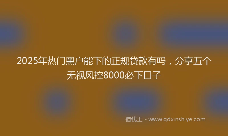 2025年热门黑户能下的正规贷款有吗，分享五个无视风控8000必下口子