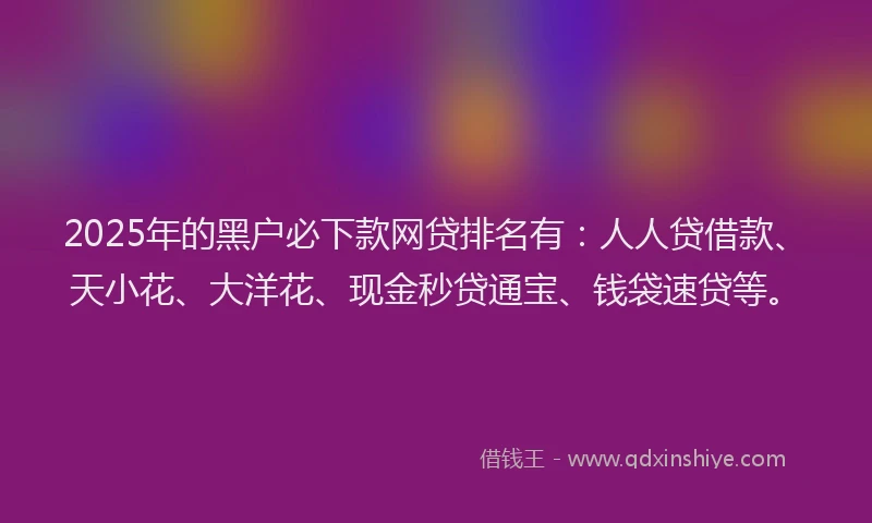 2025年的黑户必下款网贷排名有：人人贷借款、天小花、大洋花、现金秒贷通宝、钱袋速贷等。