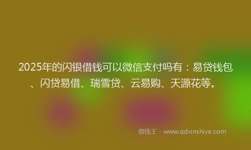 2025年的闪银借钱可以微信支付吗有：易贷钱包、闪贷易借、瑞雪贷、云易购、天源花等。