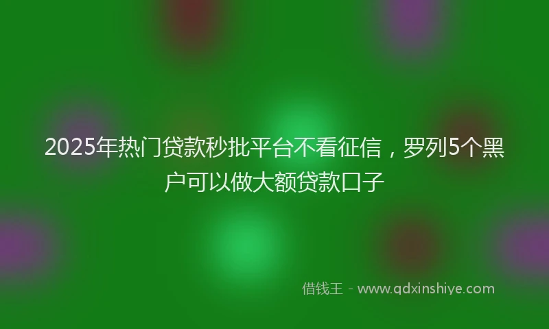 2025年热门贷款秒批平台不看征信，罗列5个黑户可以做大额贷款口子