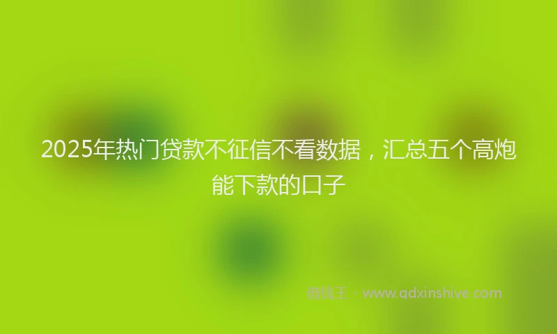 2025年热门贷款不征信不看数据，汇总五个高炮能下款的口子