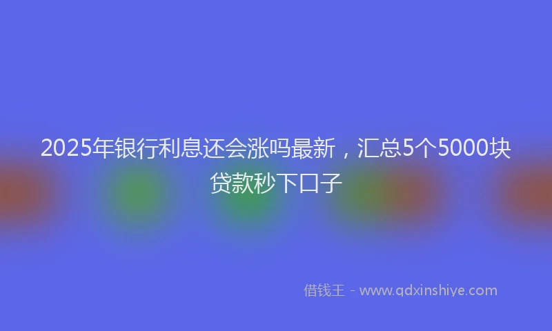 2025年银行利息还会涨吗最新，汇总5个5000块贷款秒下口子