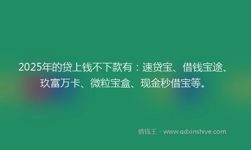 2025年的贷上钱不下款有：速贷宝、借钱宝途、玖富万卡、微粒宝盒、现金秒借宝等。