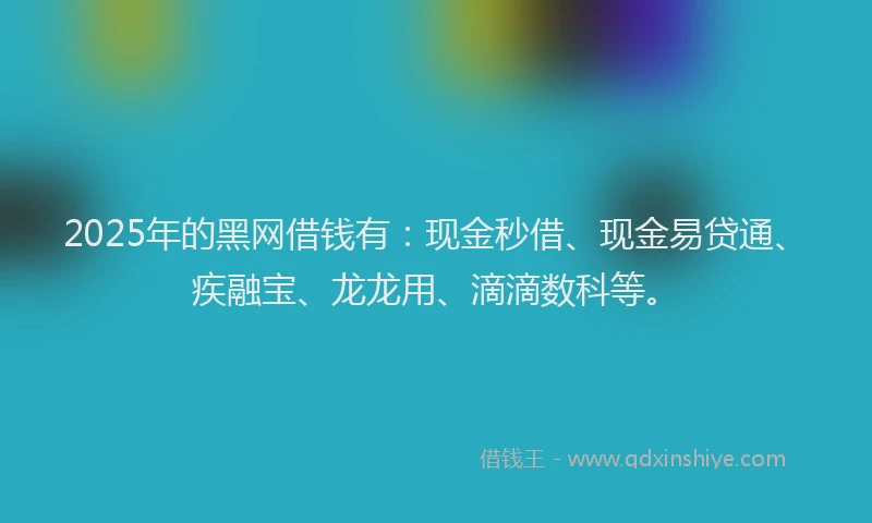2025年的黑网借钱有：现金秒借、现金易贷通、疾融宝、龙龙用、滴滴数科等。