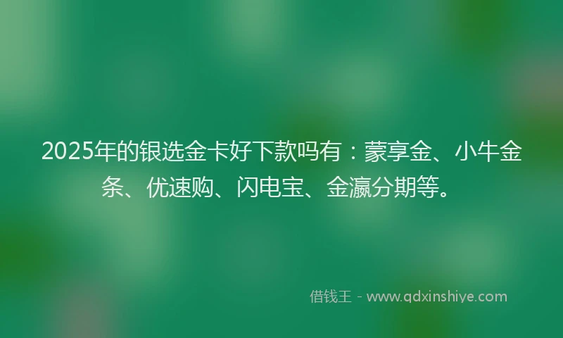 2025年的银选金卡好下款吗有：蒙享金、小牛金条、优速购、闪电宝、金瀛分期等。