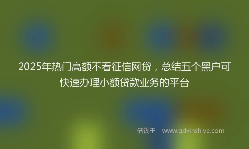 2025年热门高额不看征信网贷，总结五个黑户可快速办理小额贷款业务的平台