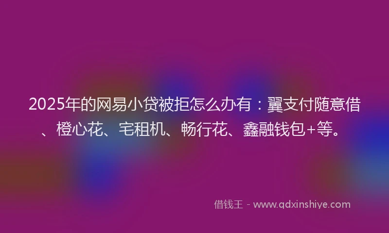 2025年的网易小贷被拒怎么办有：翼支付随意借、橙心花、宅租机、畅行花、鑫融钱包+等。