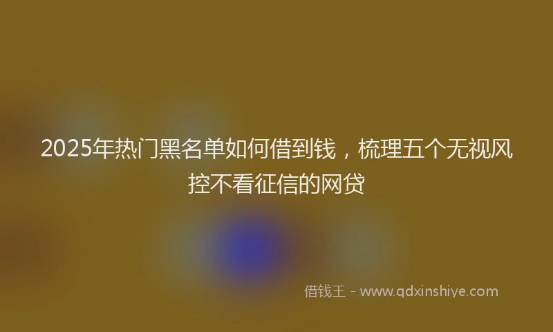 2025年热门黑名单如何借到钱，梳理五个无视风控不看征信的网贷