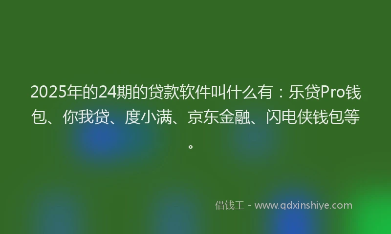 2025年的24期的贷款软件叫什么有：乐贷Pro钱包、你我贷、度小满、京东金融、闪电侠钱包等。