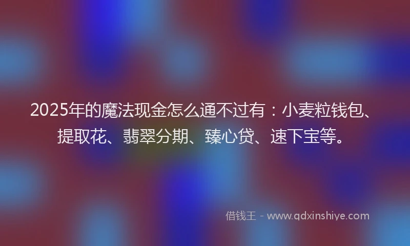 2025年的魔法现金怎么通不过有：小麦粒钱包、提取花、翡翠分期、臻心贷、速下宝等。