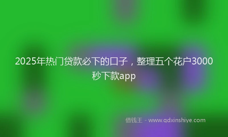 2025年热门贷款必下的口子，整理五个花户3000秒下款app