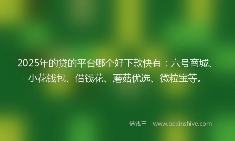 2025年的贷的平台哪个好下款快有：六号商城、小花钱包、借钱花、蘑菇优选、微粒宝等。