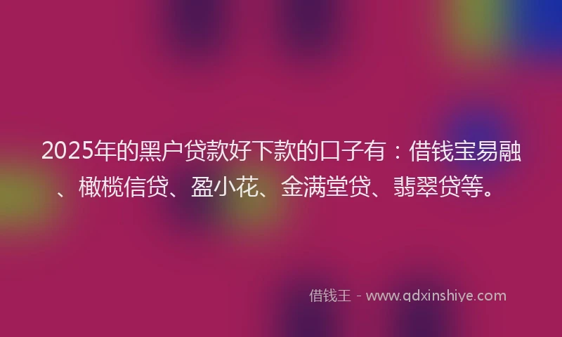 2025年的黑户贷款好下款的口子有：借钱宝易融、橄榄信贷、盈小花、金满堂贷、翡翠贷等。