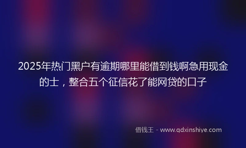 2025年热门黑户有逾期哪里能借到钱啊急用现金的士，整合五个征信花了能网贷的口子