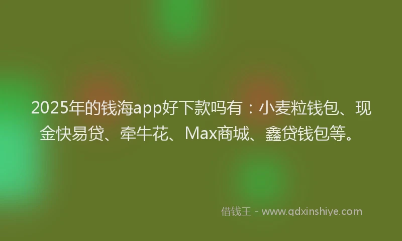 2025年的钱海app好下款吗有：小麦粒钱包、现金快易贷、牵牛花、Max商城、鑫贷钱包等。