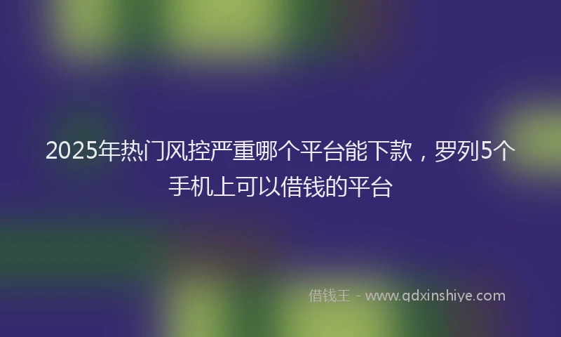 2025年热门风控严重哪个平台能下款，罗列5个手机上可以借钱的平台