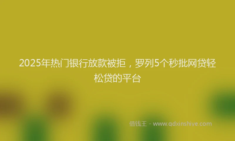 2025年热门银行放款被拒，罗列5个秒批网贷轻松贷的平台