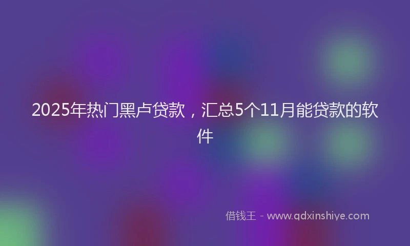 2025年热门黑卢贷款，汇总5个11月能贷款的软件