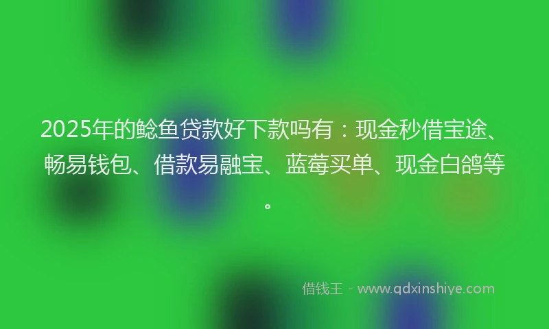 2025年的鲶鱼贷款好下款吗有：现金秒借宝途、畅易钱包、借款易融宝、蓝莓买单、现金白鸽等。