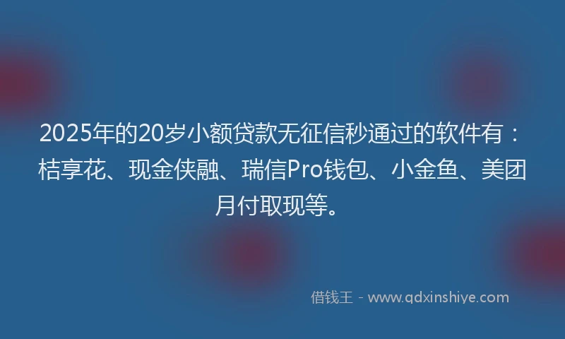2025年的20岁小额贷款无征信秒通过的软件有：桔享花、现金侠融、瑞信Pro钱包、小金鱼、美团月付取现等。