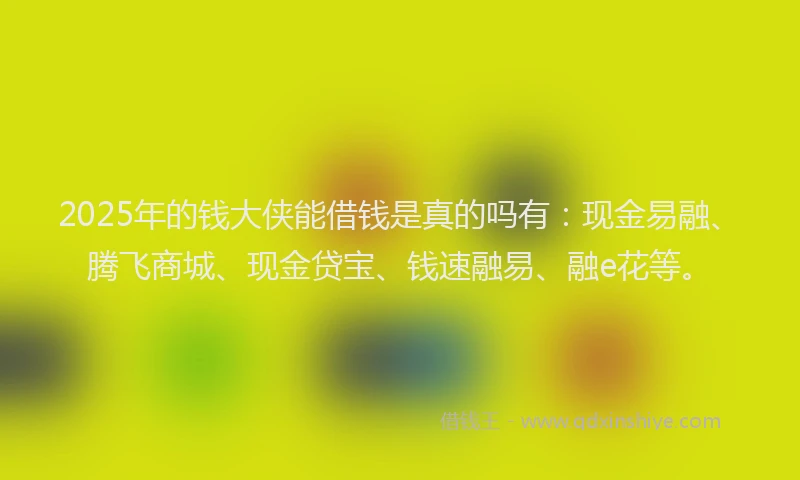2025年的钱大侠能借钱是真的吗有：现金易融、腾飞商城、现金贷宝、钱速融易、融e花等。