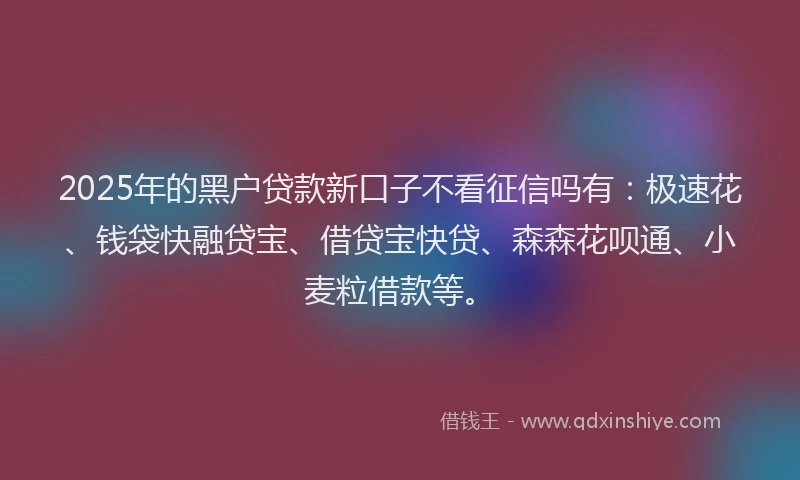 2025年的黑户贷款新口子不看征信吗有：极速花、钱袋快融贷宝、借贷宝快贷、森森花呗通、小麦粒借款等。
