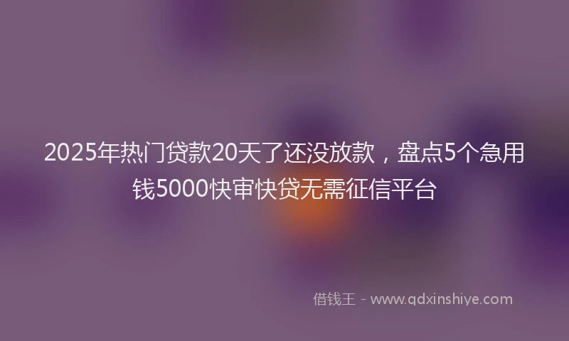 2025年热门贷款20天了还没放款，盘点5个急用钱5000快审快贷无需征信平台