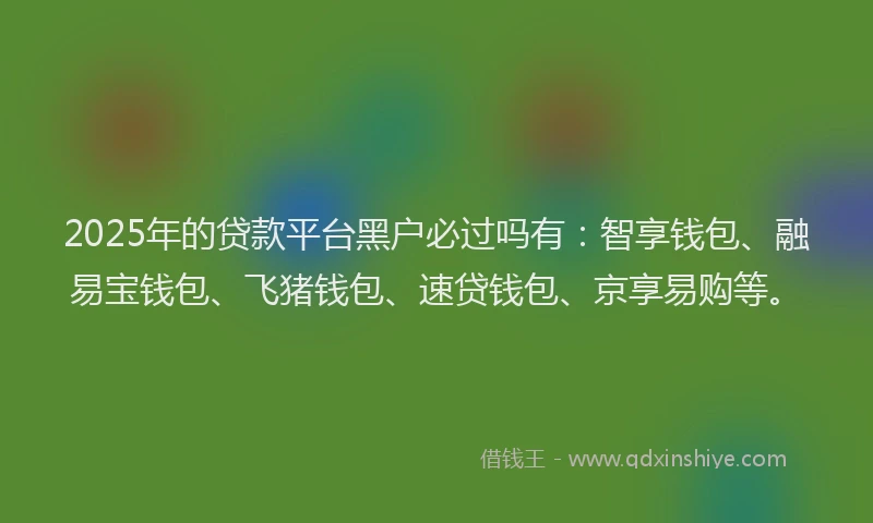 2025年的贷款平台黑户必过吗有：智享钱包、融易宝钱包、飞猪钱包、速贷钱包、京享易购等。