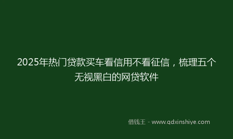 2025年热门贷款买车看信用不看征信，梳理五个无视黑白的网贷软件