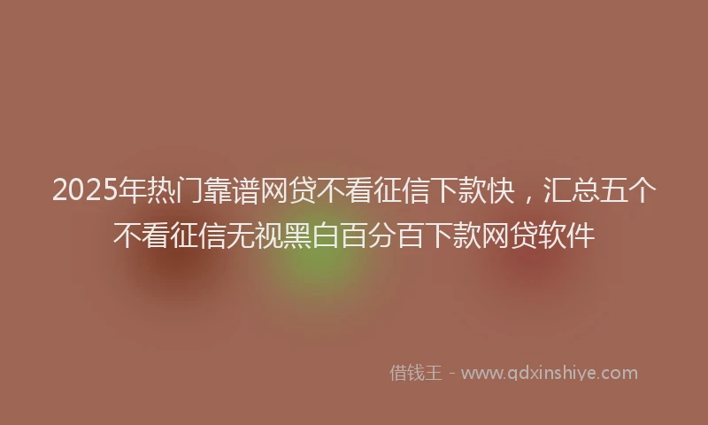 2025年热门靠谱网贷不看征信下款快，汇总五个不看征信无视黑白百分百下款网贷软件