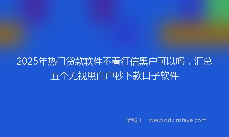 2025年热门贷款软件不看征信黑户可以吗，汇总五个无视黑白户秒下款口子软件