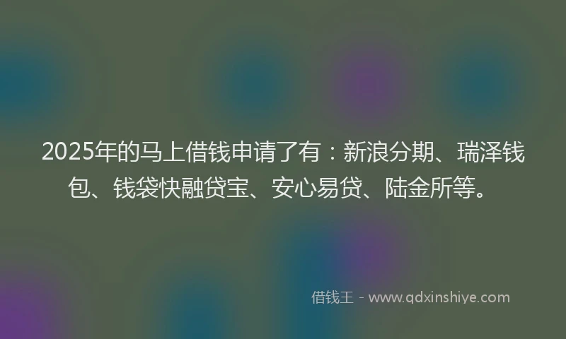 2025年的马上借钱申请了有：新浪分期、瑞泽钱包、钱袋快融贷宝、安心易贷、陆金所等。