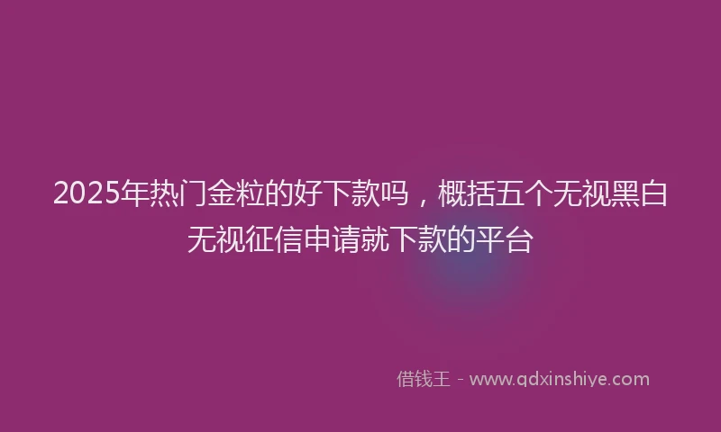 2025年热门金粒的好下款吗，概括五个无视黑白无视征信申请就下款的平台